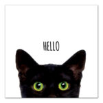 " Curious Hello Black Cat "