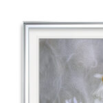 " Daisies " - Image 3