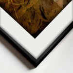 " Daisy " 2 - Pieces - Image 3