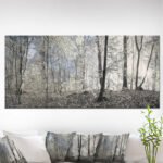 " Dark Morning In Forest Panorama " - Image 7