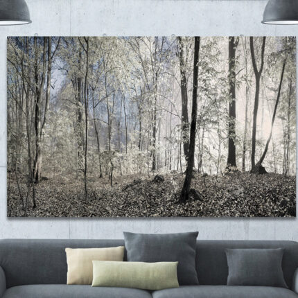 ” Dark Morning In Forest Panorama “ - Chic Decora