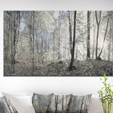 ” Dark Morning In Forest Panorama “ - Chic Decora