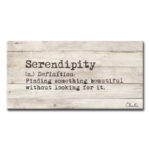 " Define Serendipity "