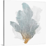 " Delicate Coral II " by Isabelle Z Painting Print - Image 2
