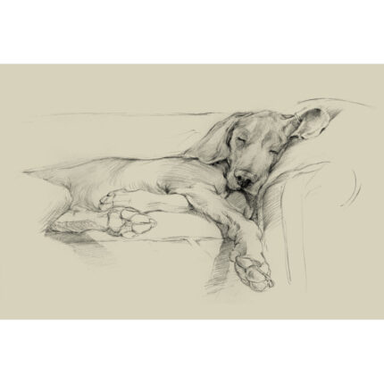 " Dog Days I " by Ethan Harper