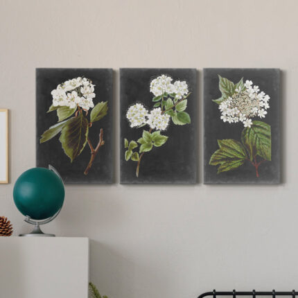 ” Dramatic White Flowers I ” 3 – Pieces - Chic Decora