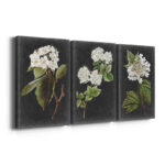 " Dramatic White Flowers I " 3 - Pieces - Image 4