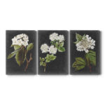 " Dramatic White Flowers I " 3 - Pieces - Image 5
