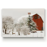 " Drury " by Parvez Taj