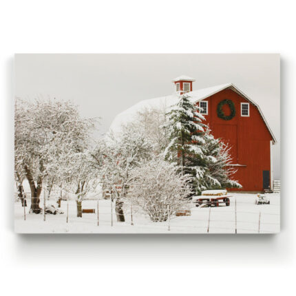 ” Drury ” by Parvez Taj - Chic Decora