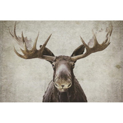 ” Elmer “ - Chic Decora