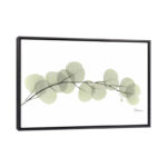 " Eucalyptus " by Albert Koetsier - Image 2