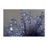 " Evening Jewels " by Beata Czyzowska Young - Image 2