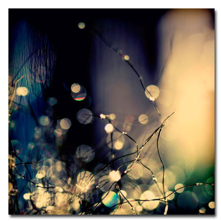 ” Fairies At Nighttime ” by Beata Czyzowska Young - Chic Decora