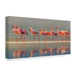 " Flamingo Walk " by Phillip Chang - Image 7