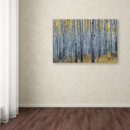 ” Forest Of Aspen Trees ” by Pierre Leclerc - Chic Decora