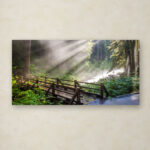 " Forest Sunlight " by Pierre Leclerc - Image 6