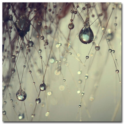 " Forgotten Wishes " by Beata Czyzowska Young