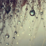 " Forgotten Wishes " by Beata Czyzowska Young - Image 2