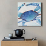 " Galapagos Crab " - Image 5