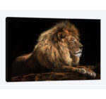 " Golden Lion " by David Stribbling - Image 4