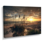 " Grassy And Beach Sunset "