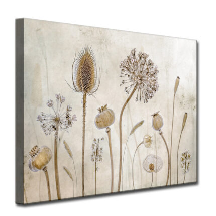 ” Growing Old “ - Chic Decora