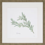 " Herbs " 4 - Pieces - Image 6