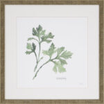 " Herbs " 4 - Pieces - Image 7