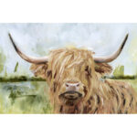 " Highland Grazer I " by Victoria Borges