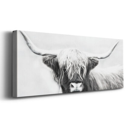 ” Highland Longhorn “ - Chic Decora