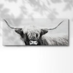 " Highland Longhorn " - Image 3