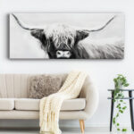 " Highland Longhorn " - Image 4