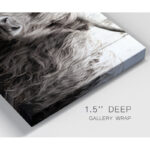 " Highland Prize " - Image 3