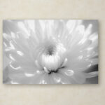 " Infrared Flower 2 " - Image 2