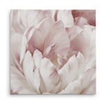 " Intimate Blush Ill " - Image 2