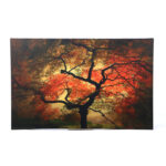 " Japanese " by Philippe Sainte-Laudy - Image 5