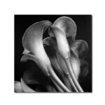 " Lillies " by Michael Harrison - Image 2