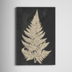 " Linen Fern I " - Image 4