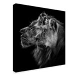 " Lion And Lioness Portrait " by Laurent Lothare Dambreville - Image 8