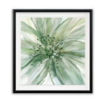" Macro Sage Flower II "