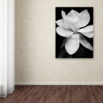" Magnolia " by Michael Harrison - Image 4
