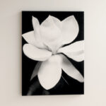 " Magnolia " by Michael Harrison - Image 6