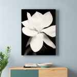 " Magnolia " by Michael Harrison - Image 2