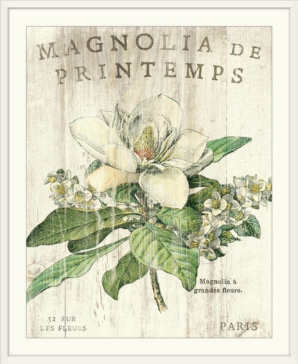 ” Magnolia De Printemps ” by Sue Schlabach - Chic Decora