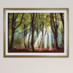 " Majestic Morning "