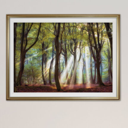 ” Majestic Morning “ - Chic Decora