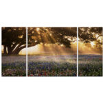 " Morning Meadow Sunrise " 3 - Pieces - Image 5