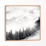 " Mountain " by Bird Wanna Whistle - Image 2
