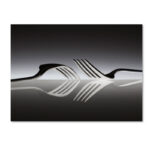 " Opposites " by Wieteke De Kogel